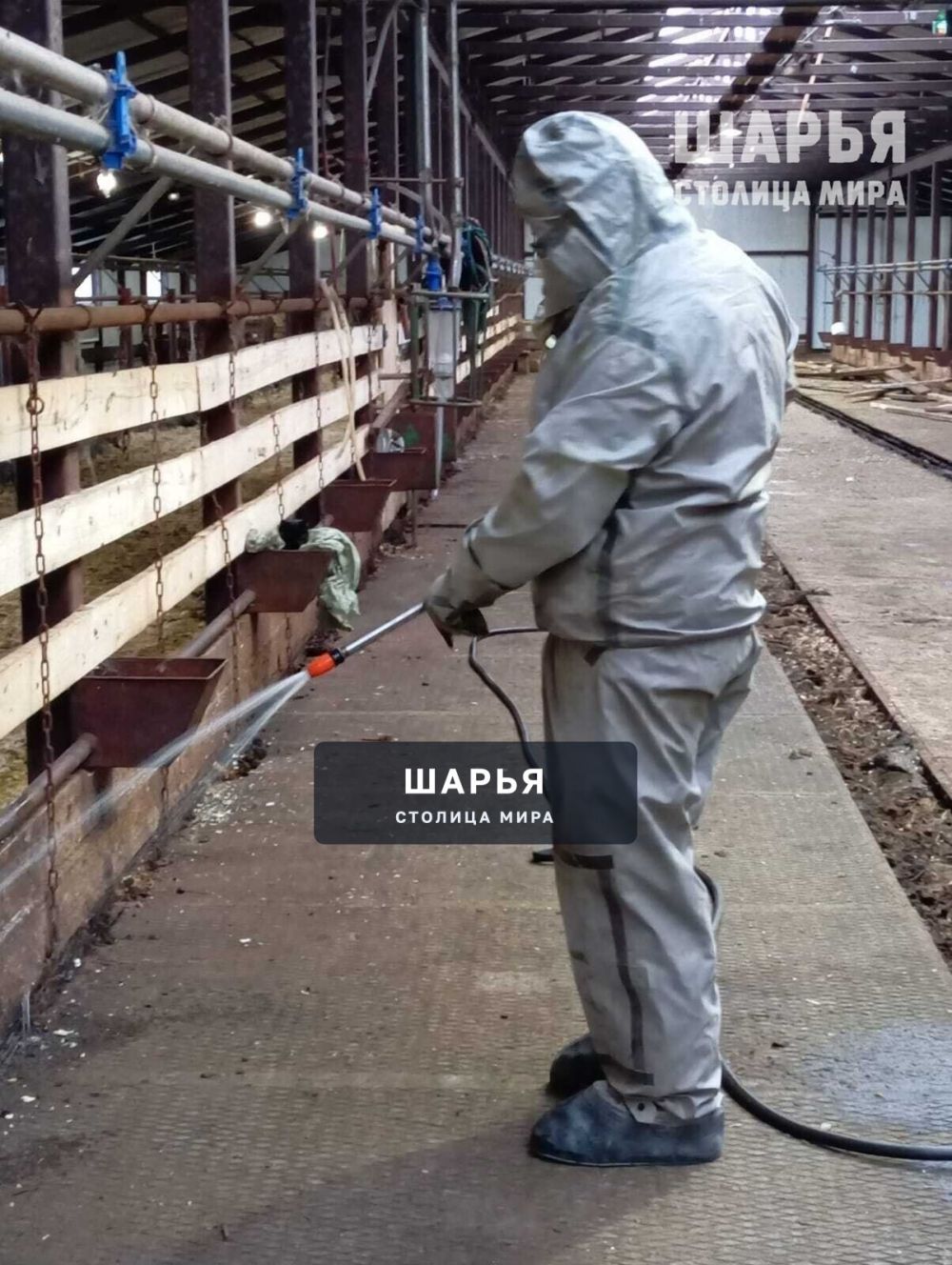Хозяйства Шарьинского района проводят профилактические дезинфекционные мероприятия — Шарья — фото 2
