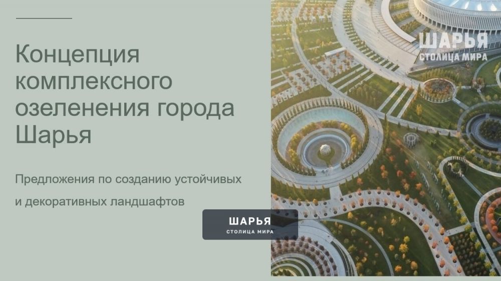 Городская власть предлагает шарьинцам посадить их цветы на общественных клумбах — Шарья — фото 1