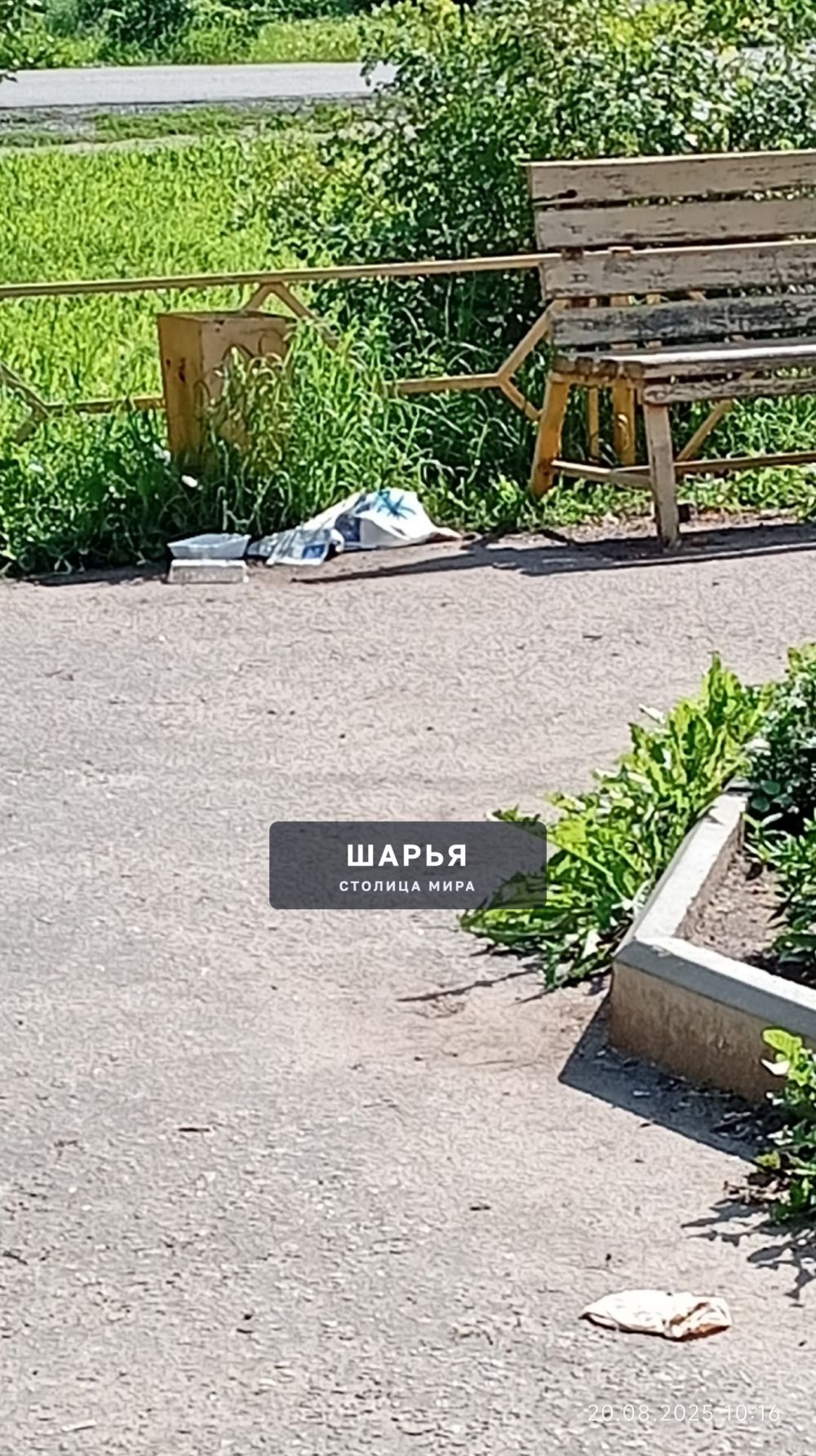 И это картина каждого дня на площадке для отдыха по ул.50 лет Советской власти — Шарья — фото 7