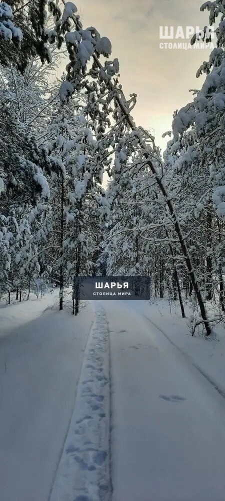 Новость из Шарьи — Шарья — фото 2