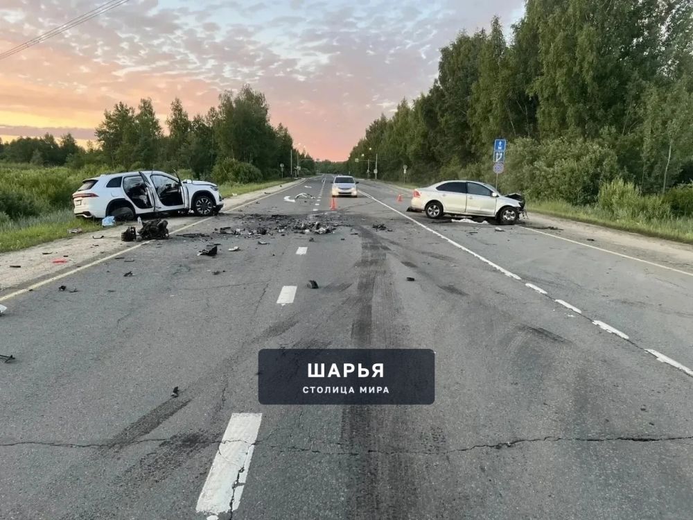 Сохатый стал причиной смерти молодого мужчины — Шарья — фото 3