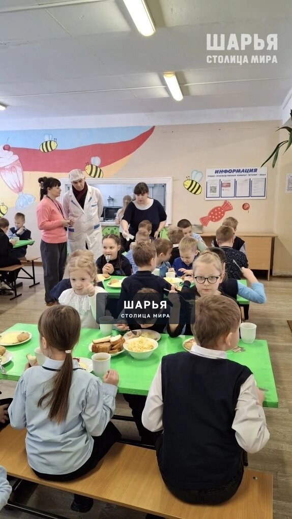 Родители Шарьи контролируют пищу детей в школах — Шарья — фото 5