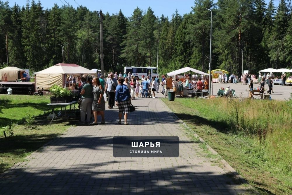 И вновь о XII Межрегиональной Иоанно-Предтеченской ярмарке — Шарья — фото 9