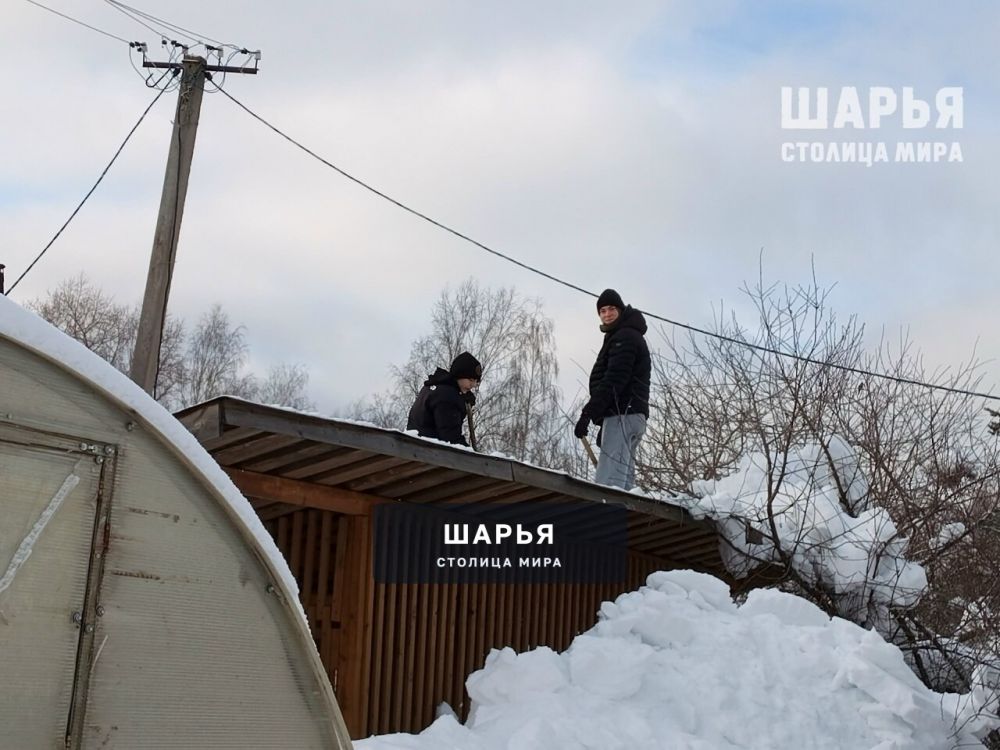 Помощь семьям участников СВО продолжают оказывать студенты — Шарья — фото 3