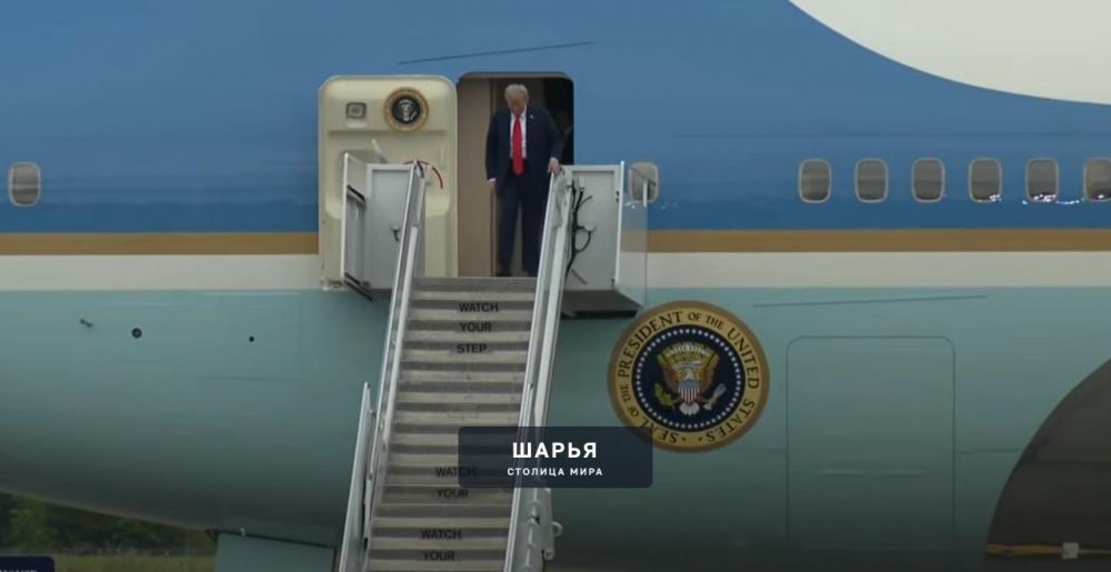 На поле появляется Дональд Трамп — Шарья