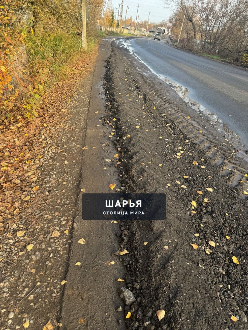 После газовиков и ремонта дороги вместе с обочинами ,асфальтированный тротуар исчез на отрезке… — Шарья