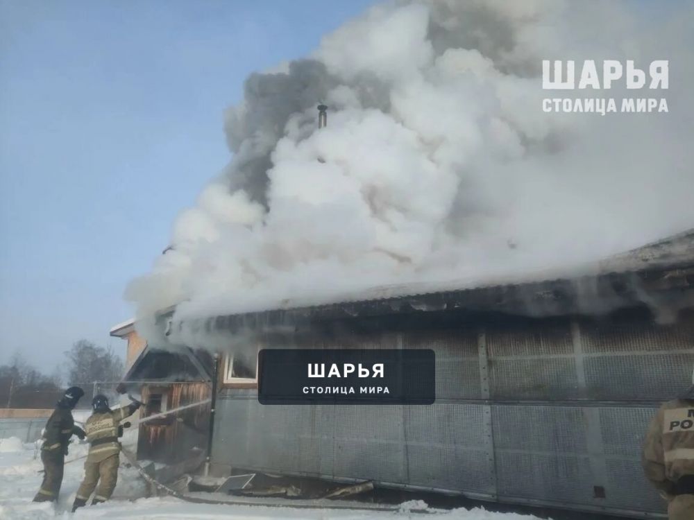 За минувшие сутки в области произошло 3 пожара, один из которых - в Шарье — Шарья — фото 8
