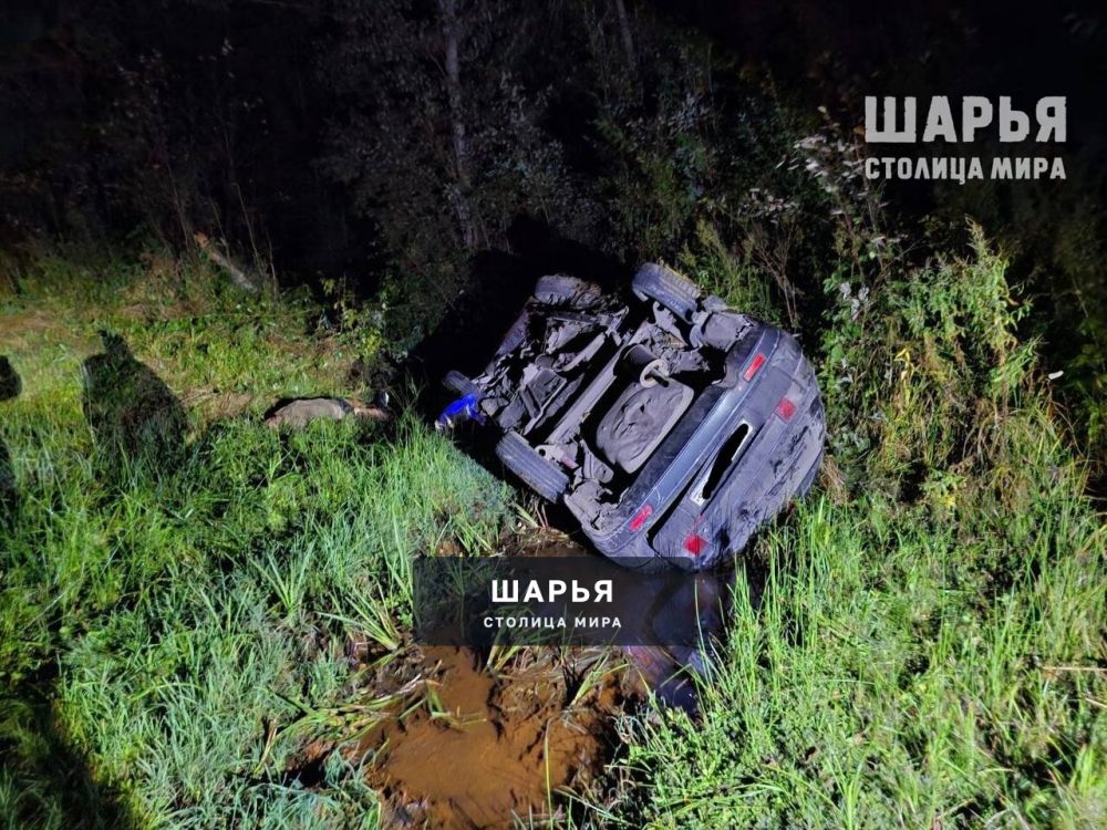 Один труп и трое пострадавших — Шарья