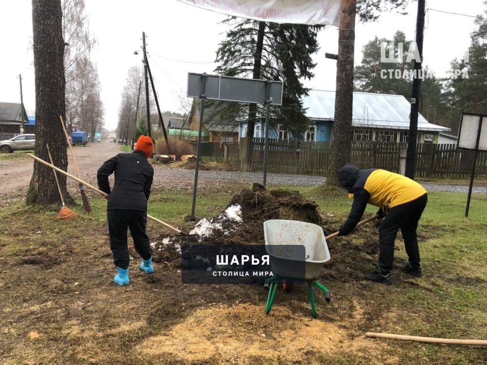 26 апреля коллектив МБУ ДО СШОР г. Шарья приняли участие во "Всероссийском субботнике 2025 " — фото 8