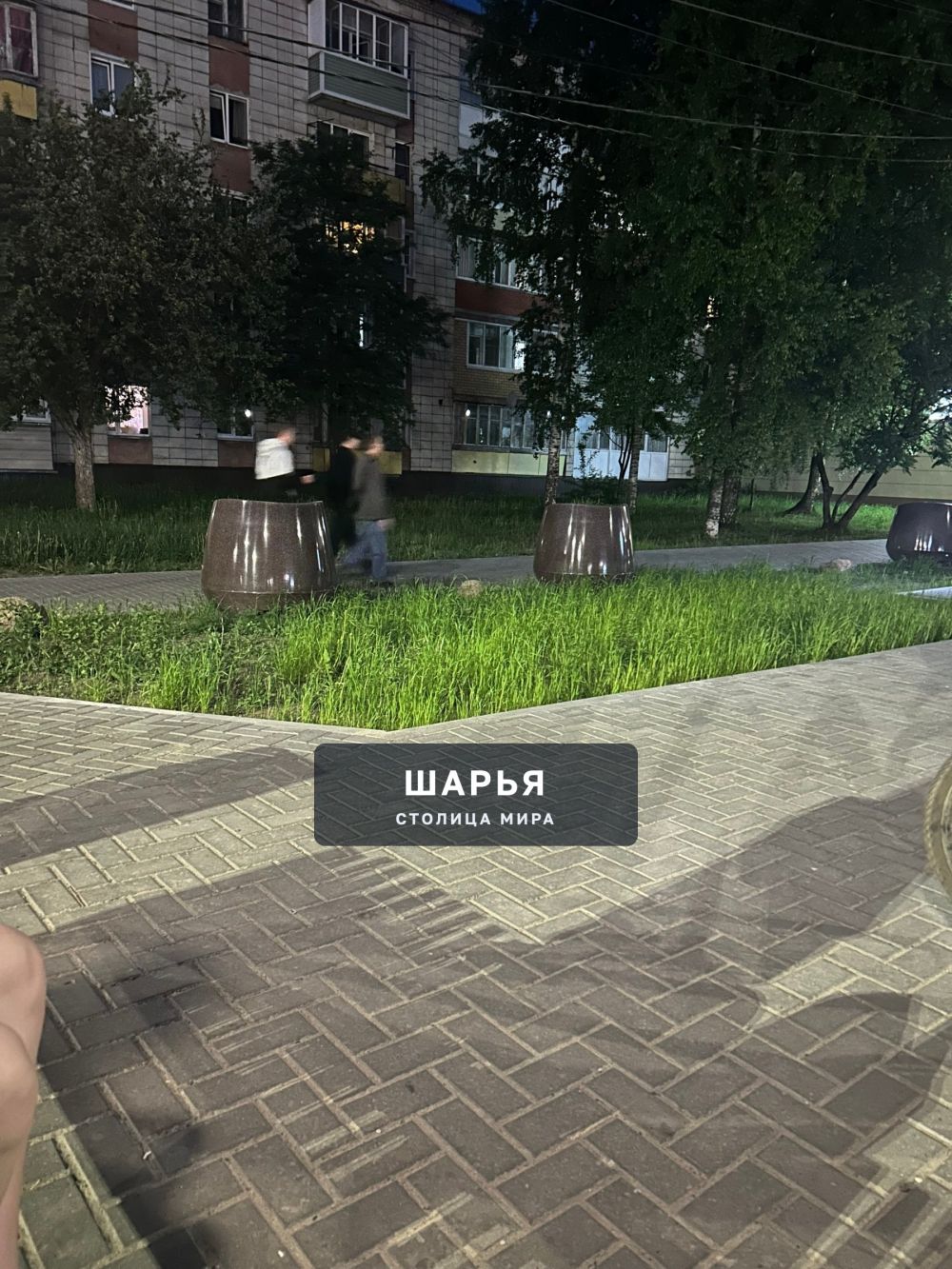 Что со сквером в Ветлужском!?!? — Шарья — фото 2