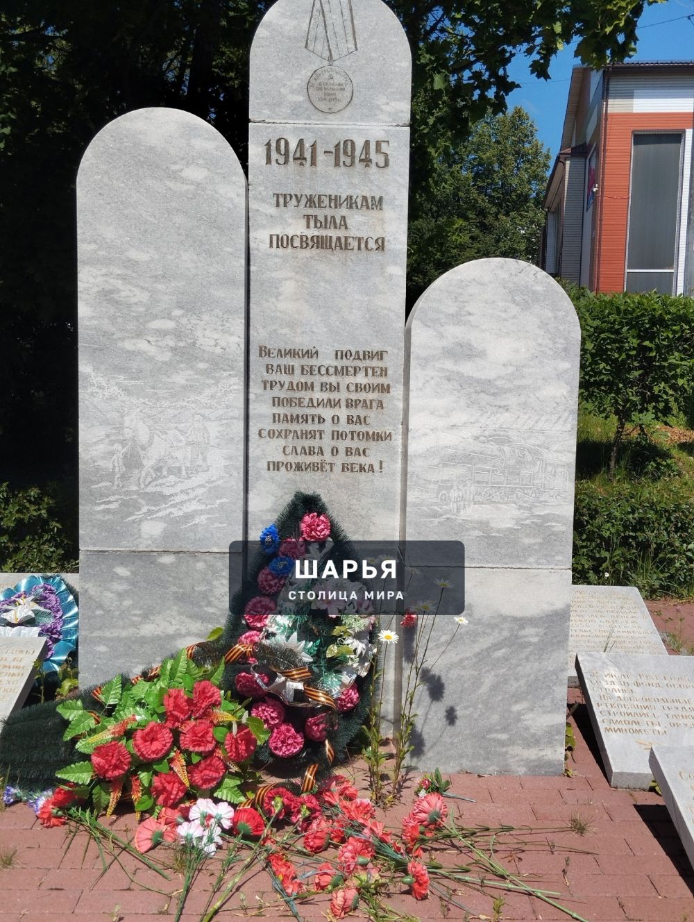 Вы видите это чудо! Ромашки пробились через кирпичи на памятнике — Шарья — фото 2