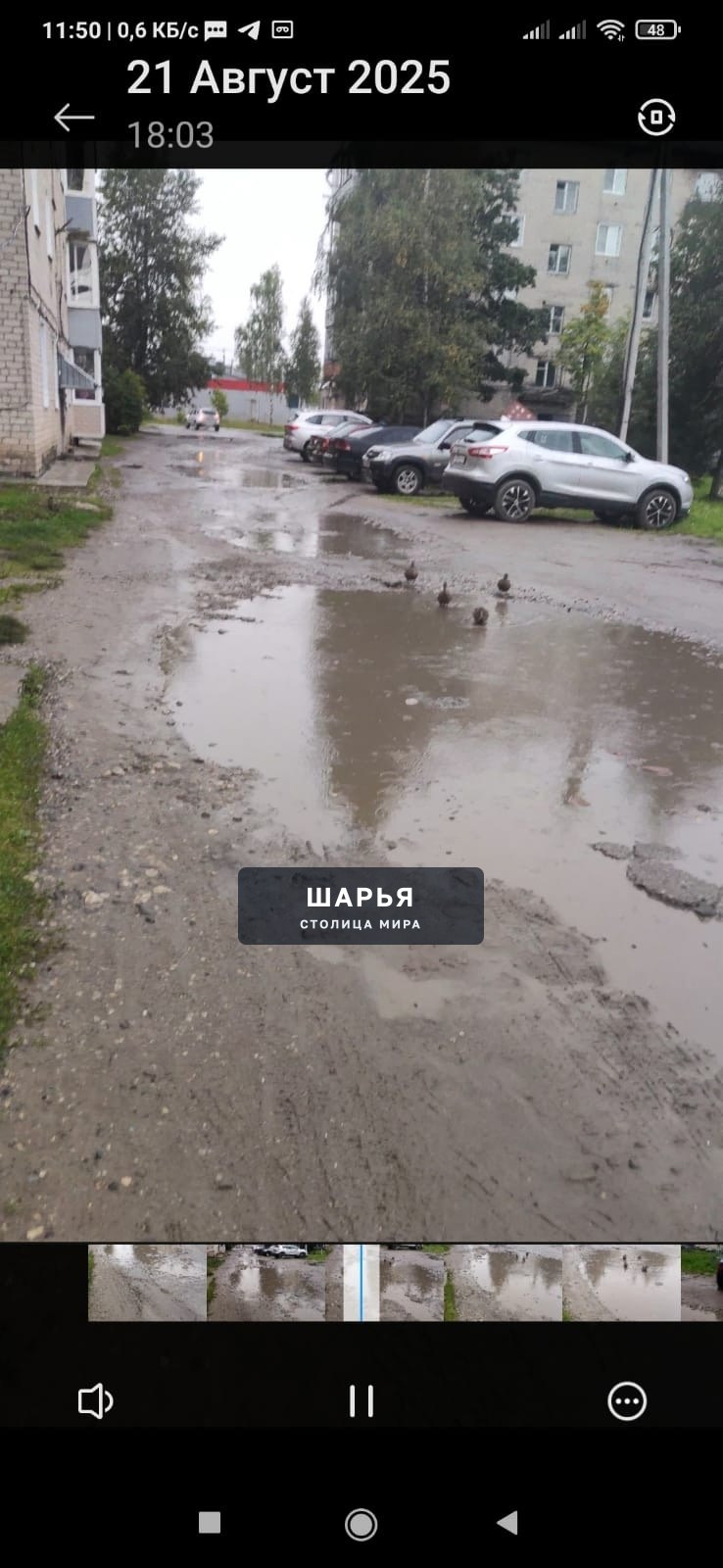 От лица жителей домов №21 и №32 по улице 50 лет Советской Власти хотим выразить искреннюю… — Шарья — фото 3