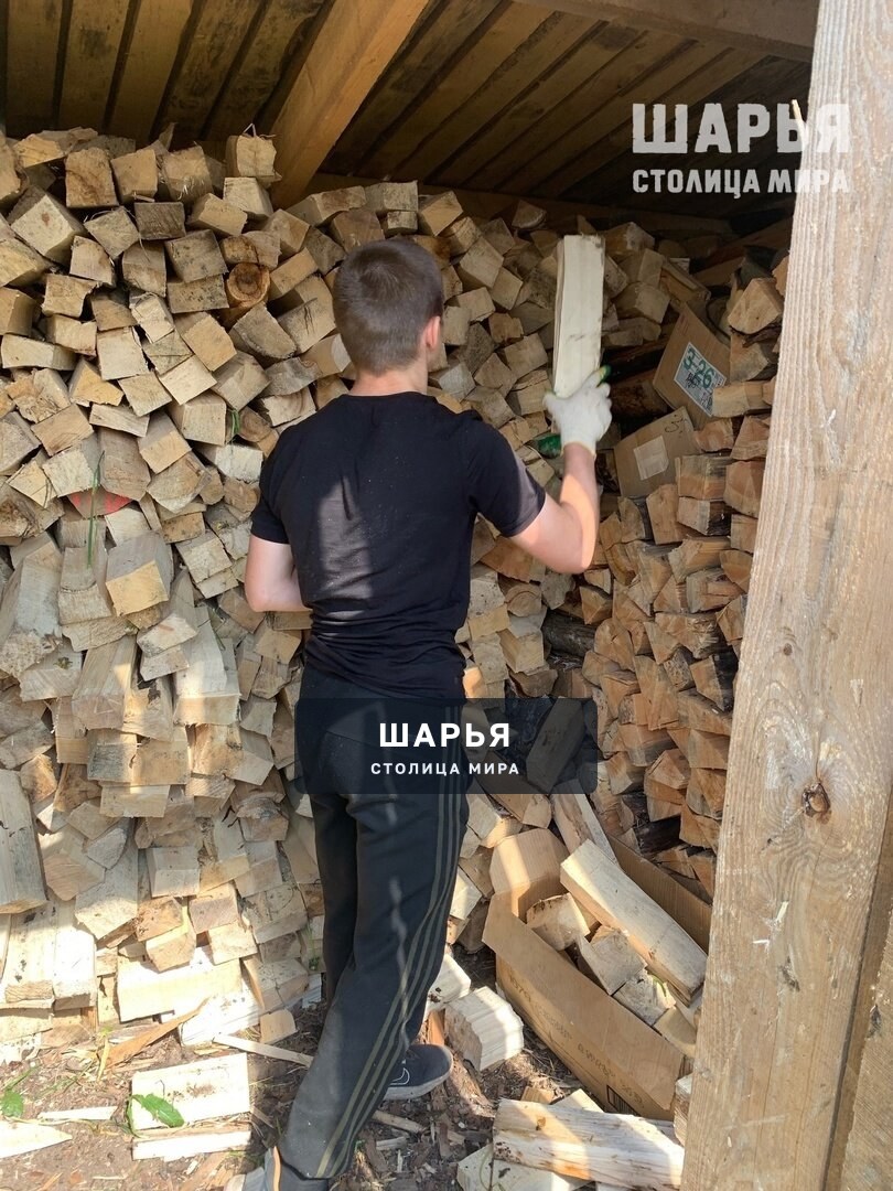 Помощь в укладке дров порадовала пенсионера — Шарья — фото 4