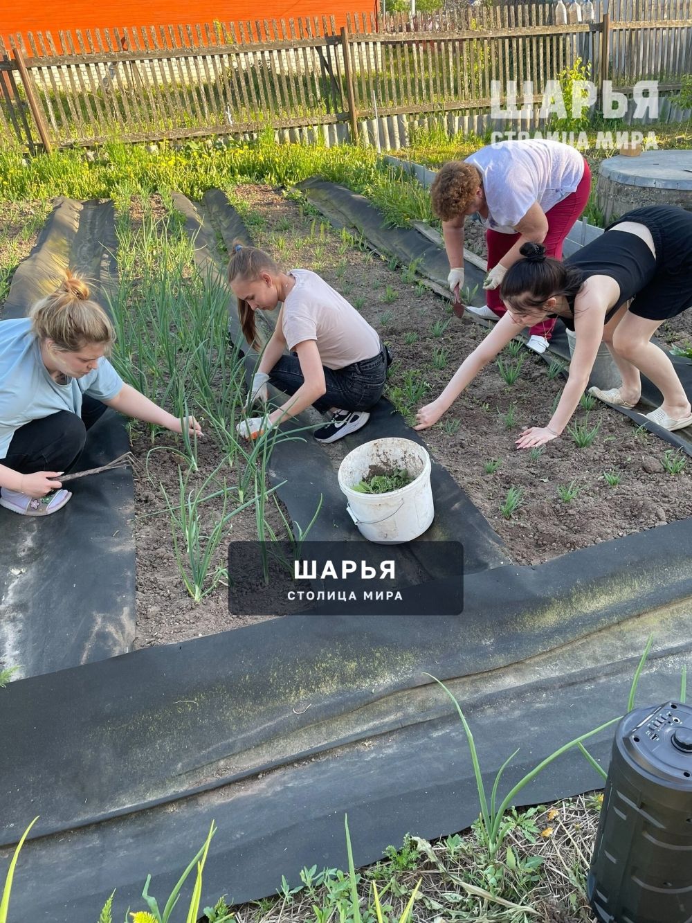 Молодежь Шарьи безвозмездно оказывают поддержку землякам — Шарья — фото 9
