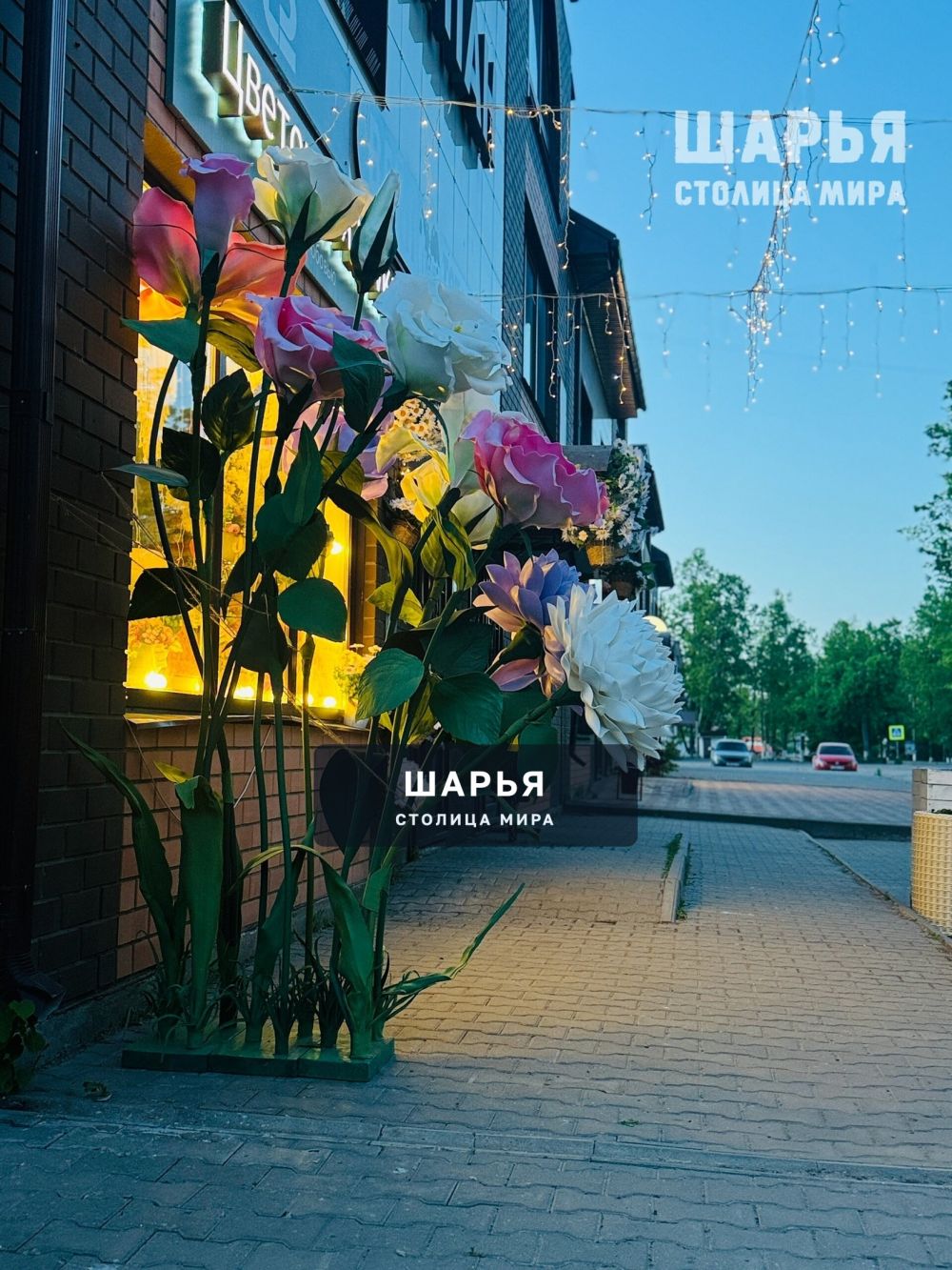 Вот такая красота в Шарье — Шарья — фото 6