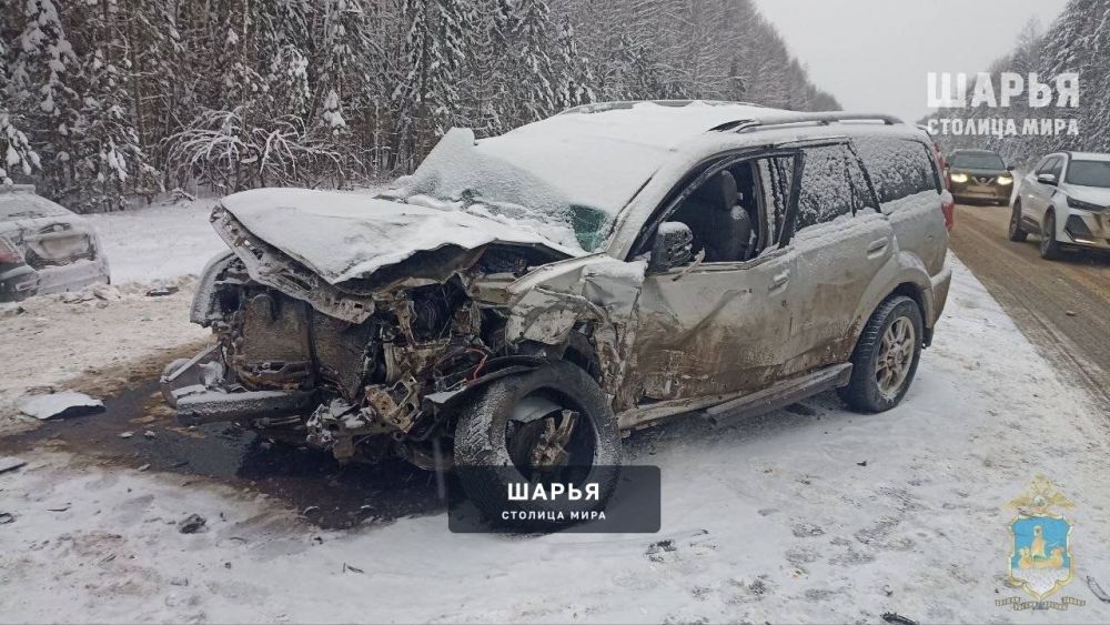 Дорожная авария в Макарьевском районе унесла жизни 2 человек — Шарья — фото 5