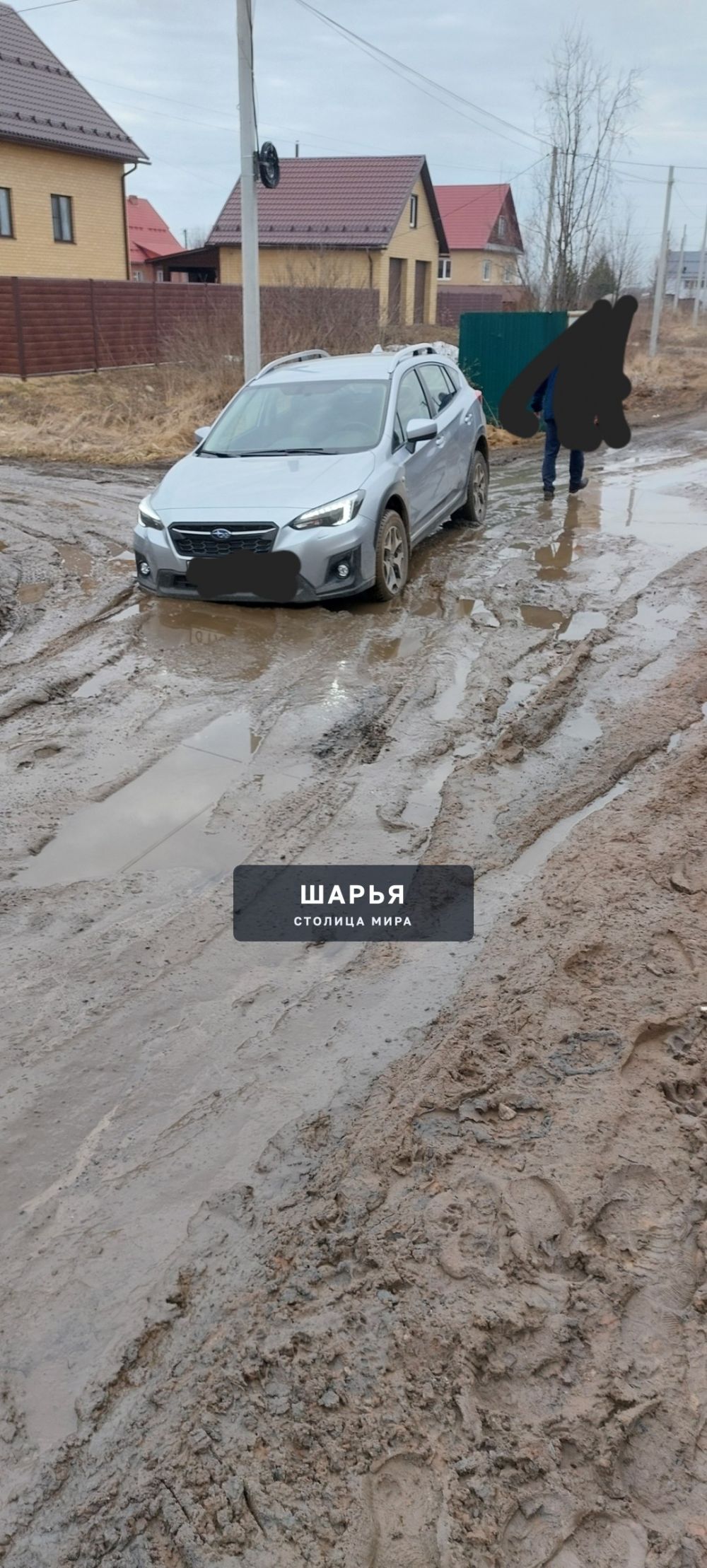 Публикация было утром, стало днем — Шарья