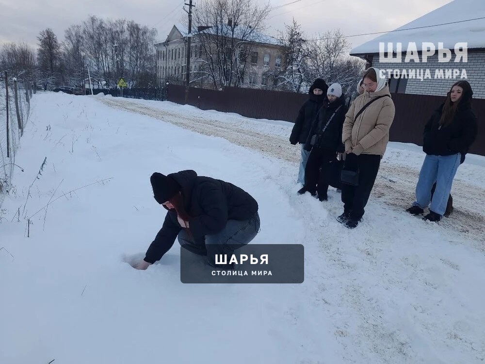 Экологическая лаборатория в деле — Шарья — фото 2