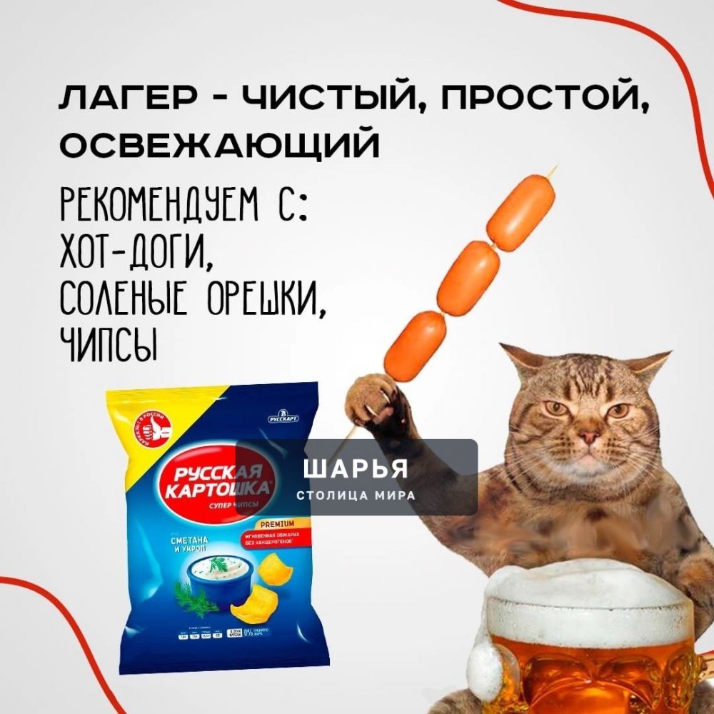 Что лучше есть, когда пьёшь пиво — алкомаркет КБ составил подборку закусок, идеальных под… — Шарья — фото 3