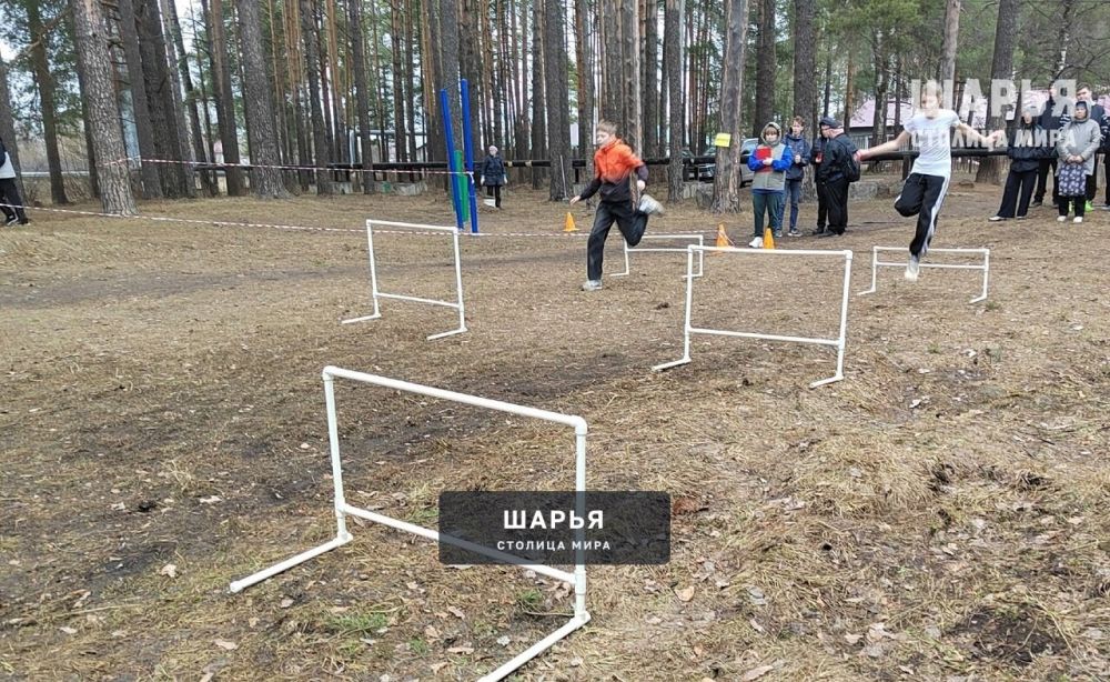 Школа №7 вновь отлично подготовила своих учеников — Шарья — фото 7