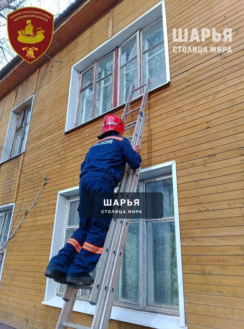 Бдительная соседка спасла жизнь шарьинки — Шарья