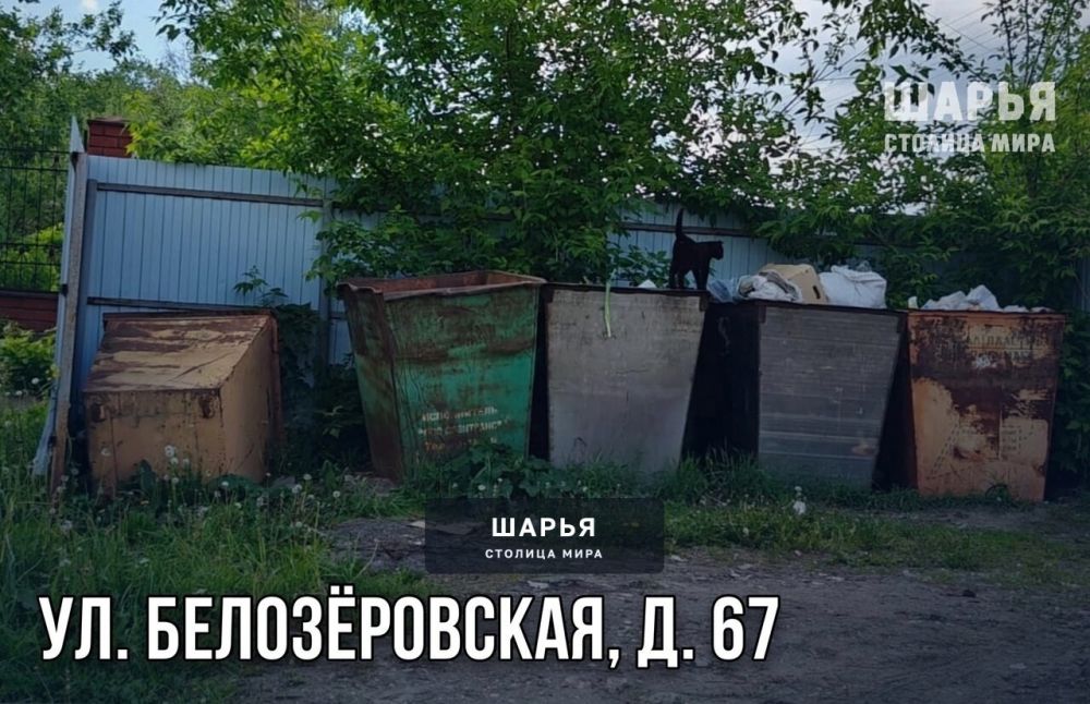 Активные общественники Шарьи ликвидировали проблему мусорных площадок — Шарья — фото 4