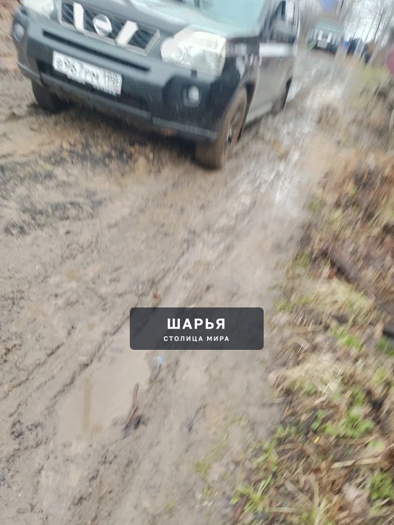 Что за д..... бы? Разве не видно что дорога плохая? — Шарья — фото 2
