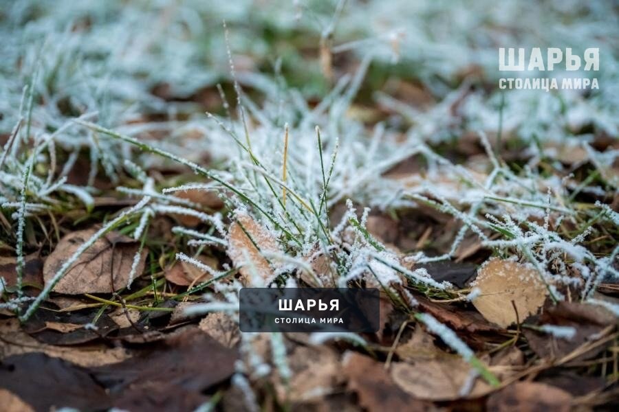 Тепло продержится в Шарье до выходных — Шарья