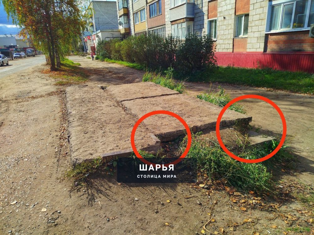 Подниму тему "забытой" остановки на улице Садовая в п.Ветлужский — Шарья — фото 3