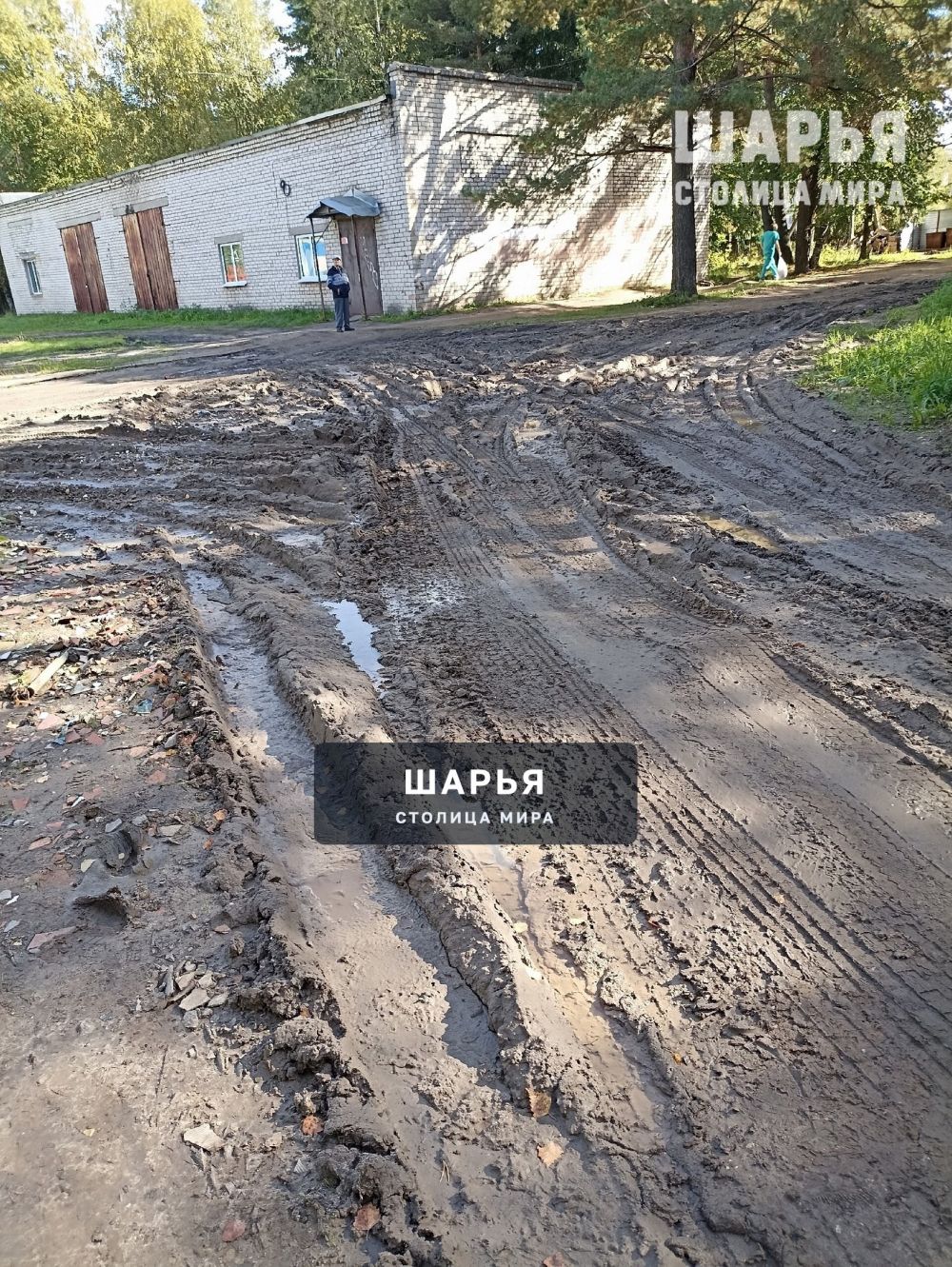 В Шарье без проблем даже в последний путь невозможно проводить — Шарья — фото 6