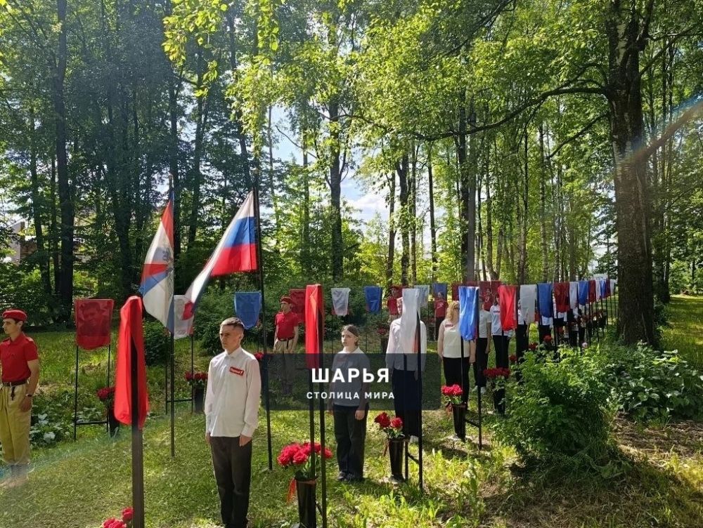 Аллея славы героям, павшим в ходе проведения СВО, пополнилась новыми портретами — Шарья — фото 5