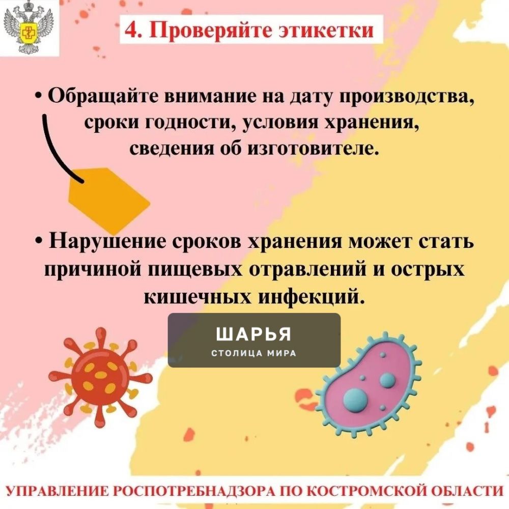 Всемирный день продовольствия отмечается 16 октября — Шарья — фото 4