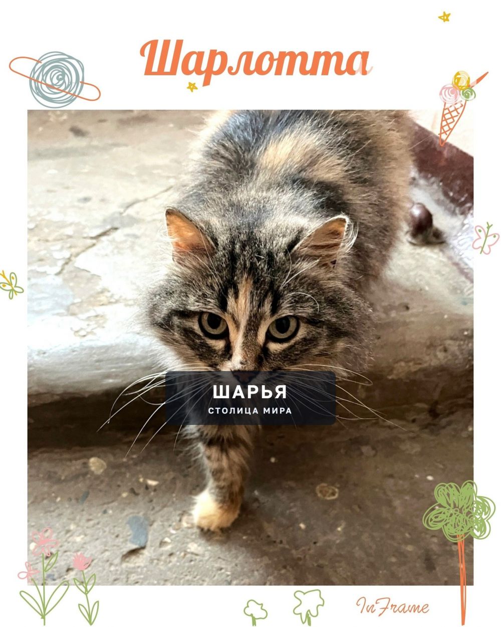 РЕПОСТ↪ — Шарья
