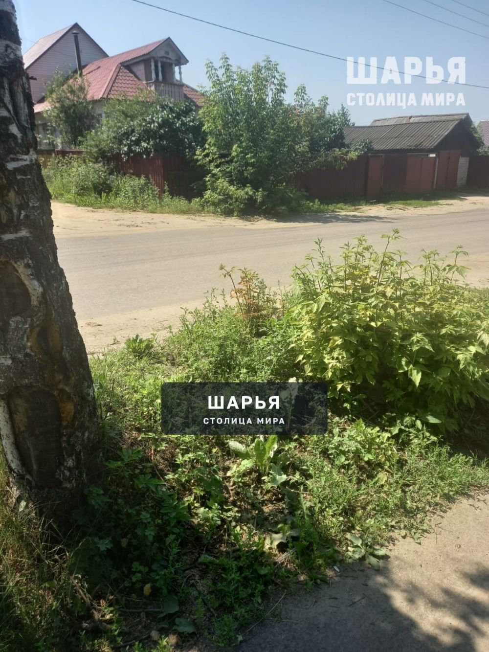 Там, где необходимо, почему-то не срубают — Шарья