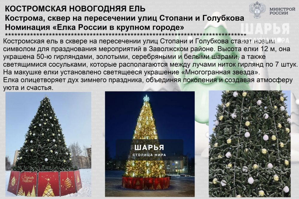 Костромская область участвует во Всероссийском конкурсе «Ёлки России» — Шарья — фото 1