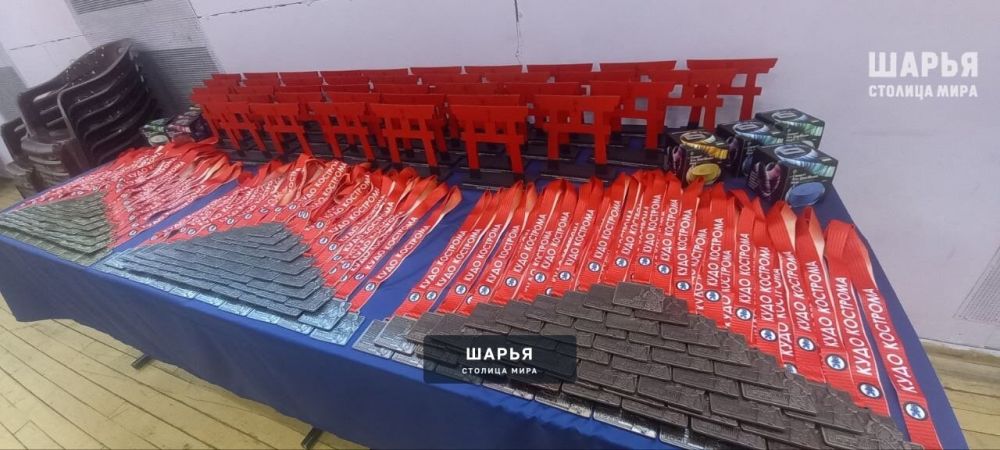 Шарьинские спартанцы вновь доказали свое мастерство — Шарья