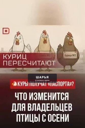 До 1 сентября 2026 года владельцы личных подсобных хозяйств, в которых содержится более десяти… — Шарья