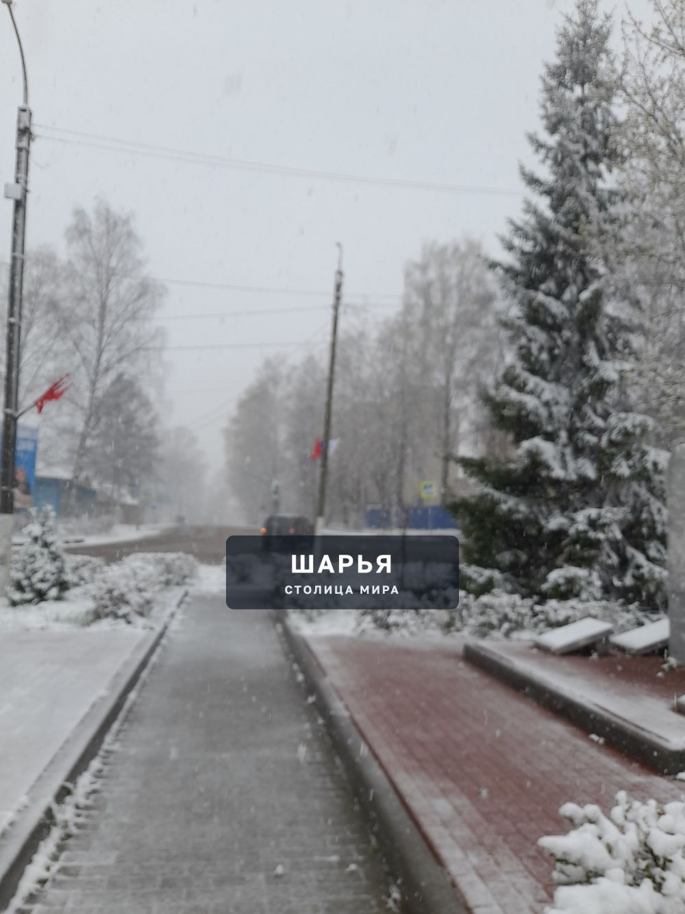 У природы нет плохой погоды — Шарья — фото 3