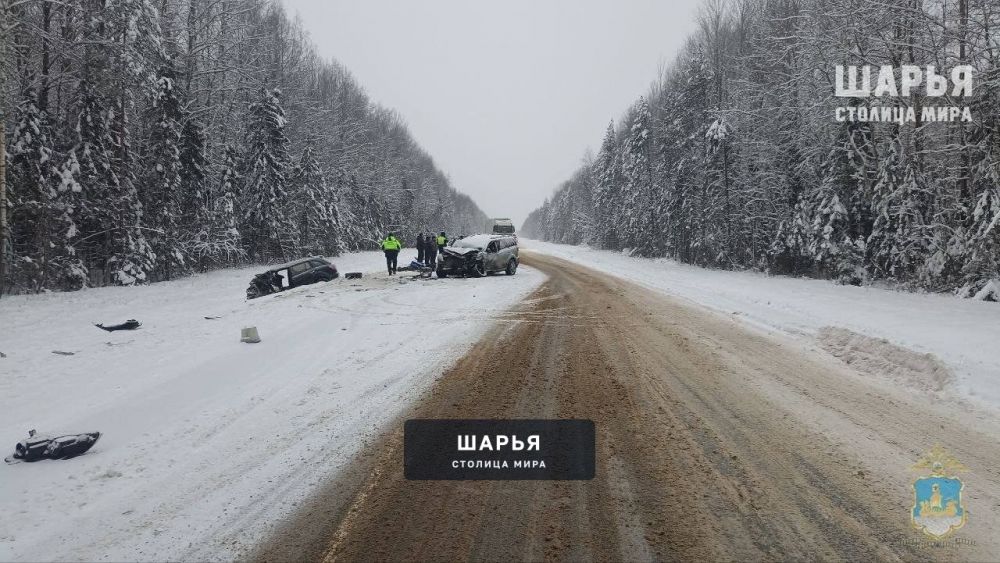 Дорожная авария в Макарьевском районе унесла жизни 2 человек — Шарья — фото 4