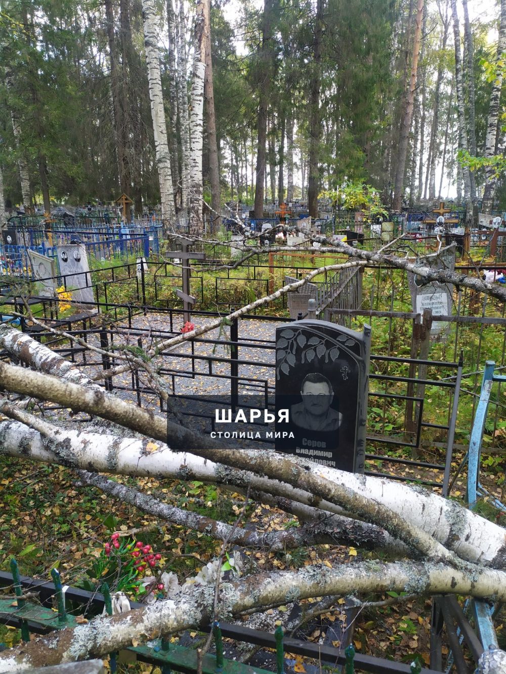 Добрый день жители города Шарья — фото 3