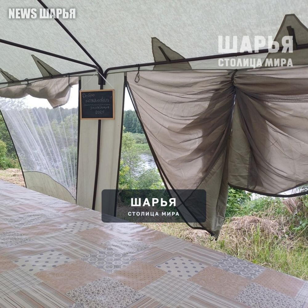 Археологи начали работу под Одоевским — Шарья — фото 3