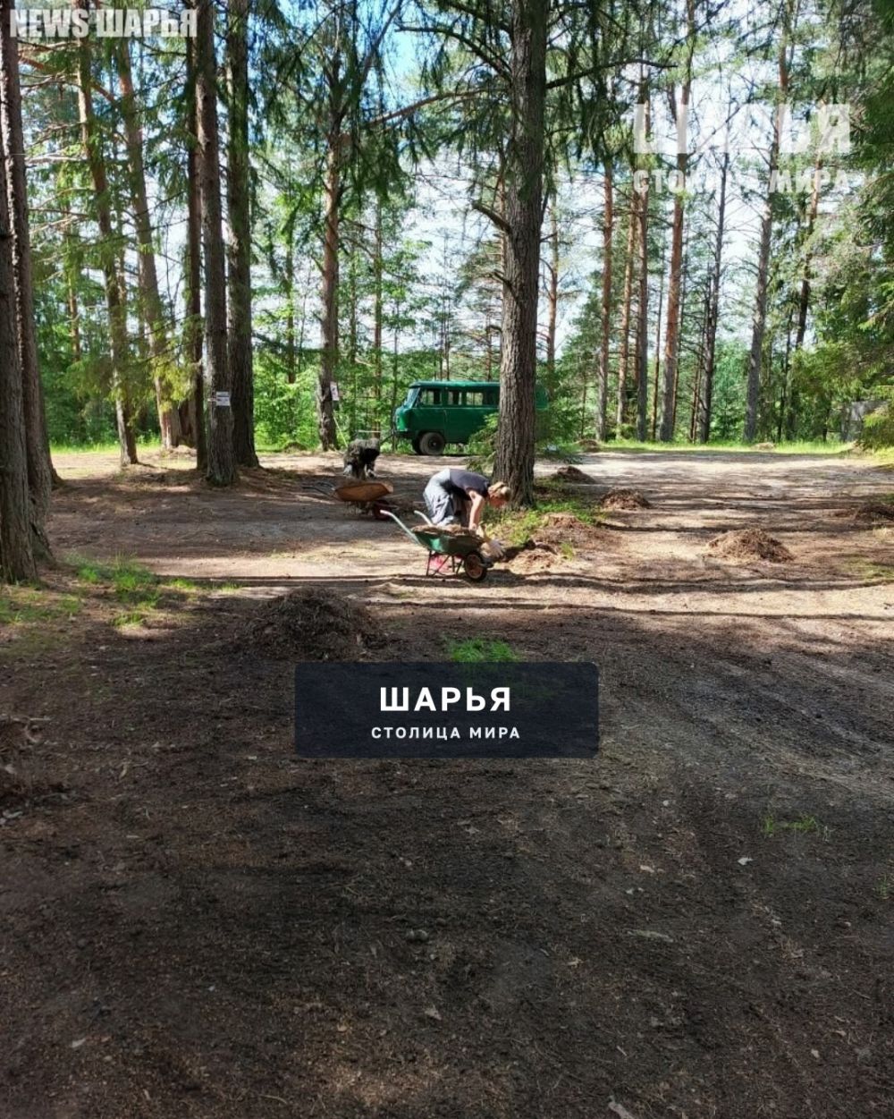 Подростки Шарьинского района зарабатывают первые деньги — Шарья — фото 5