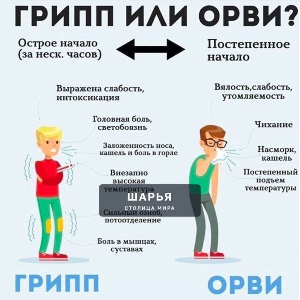 Сезон ОРВИ и гриппа набирает обороты — Шарья