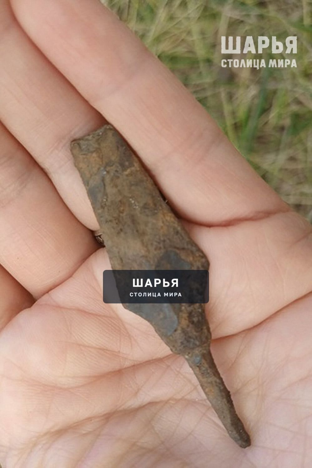 Старшее поколение Шарьи познакомили с подробностями полевого сезона нынешнего года — Шарья — фото 4