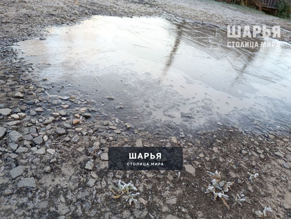 Новость из Шарьи — Шарья — фото 3