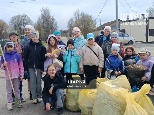 Районные работники культуры приняли участие в субботниках — Шарья