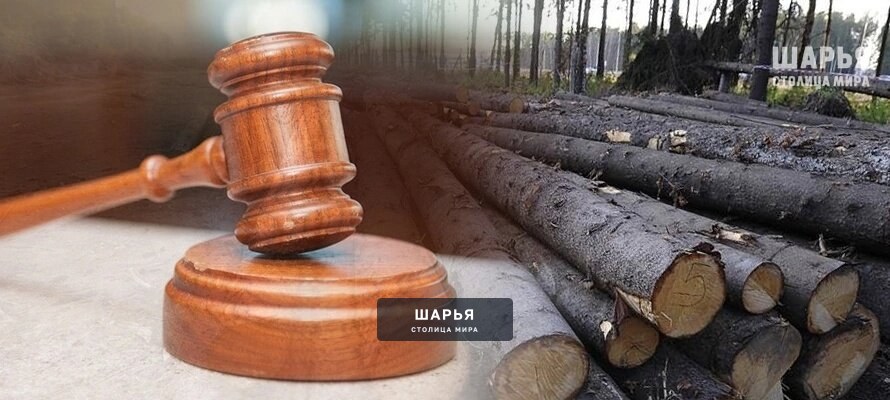 Суд взыскал неустойку за нецелевое использование приобретенной древесины — Шарья