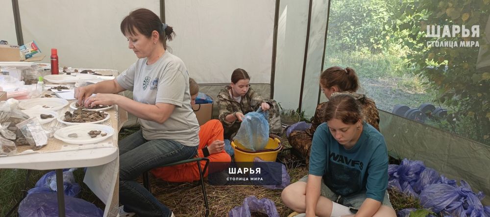 Найдены первые находки этого сезона при раскопках Одоевского городища — Шарья — фото 8