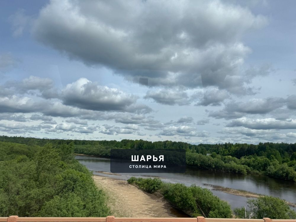 Река Ветлуга — Шарья — фото 3