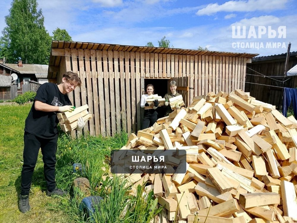 Помощь в укладке дров порадовала пенсионера — Шарья — фото 1
